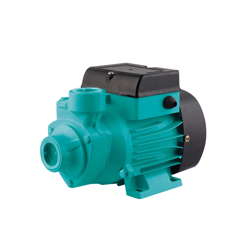 Peripheral Clean Water Pump